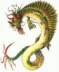 images23