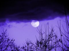 Under the Moonspell