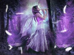 My world is a magic world with elfs and fairies....****