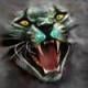 anger