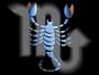 xplosive