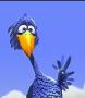 sillybird