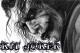 joker_a