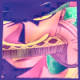 Shin