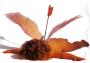 stpan