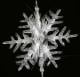 coldwinter