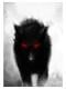 wolf_8