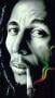 Dr Marley