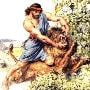 SAMSON 200