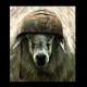 The_Sheep