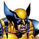 Wolverin