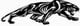 Panthers