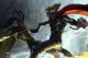 darknemus01