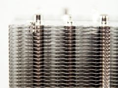 IMG 4498