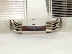 IMG 4495