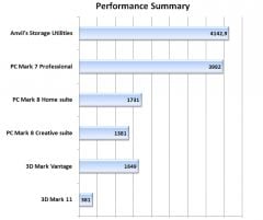 performance summary full size