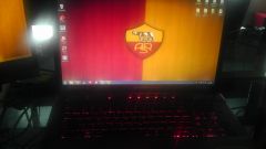 IMAG0733