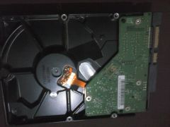 wd5000avvs Wd