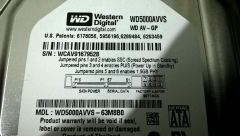 WD 500gb