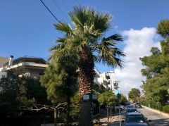 Motorola Nexus 6 - Κάμερα