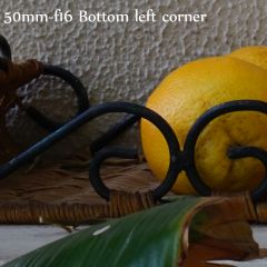 50mm F16 bottom left corner