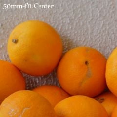 50mm F11 center