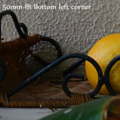 50mm F8 bottomleft
