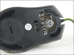 DSC 4262