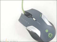 DSC 4248