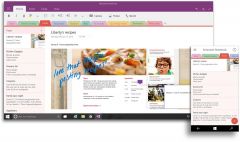 OneNote UI 900x530