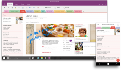 Office 10