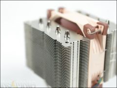 DSC 4842
