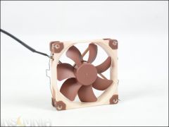 DSC 4866