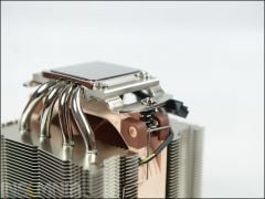 DSC 4855