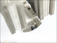 DSC 4859
