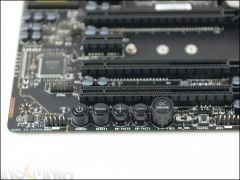 DSC 5239