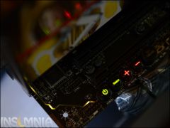 DSC 5331