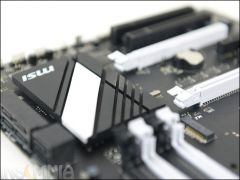 DSC 5303