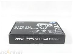 DSC 5277