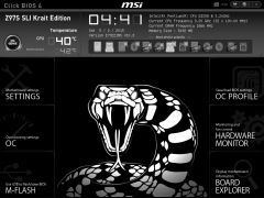 bios main