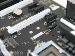DSC 5321