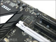 DSC 5291