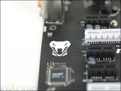 DSC 5311