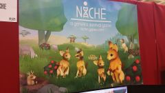 indie 6