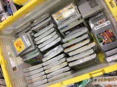 IMG 3887
