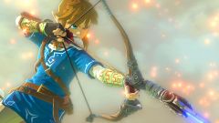 Wii U zelda
