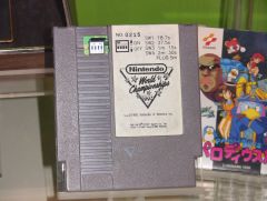 2 nintendo world championships