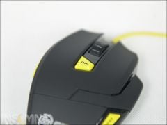 DSC 8825