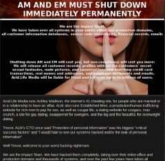 ashleymadison 2