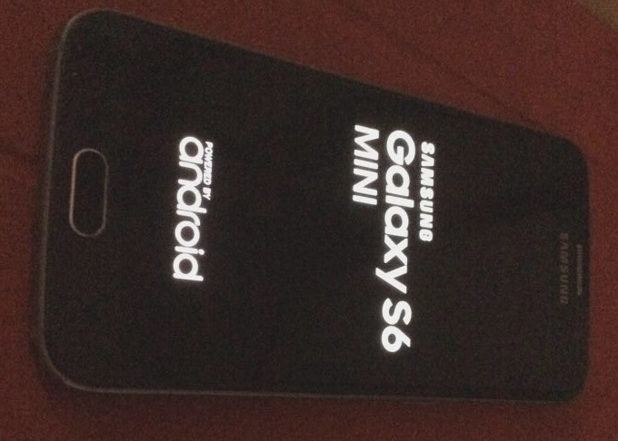 Samsung Galaxy S6 mini